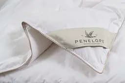Ковдра Penelope - Dove 6,5 tog пухова 195x215 євро - мініатюра 4