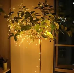 Світлодіодна гірлянда Sun Lamp Крапля Роси 100 LED, 10м тепле біле світло, батарейки 3 АА - мініатюра 6