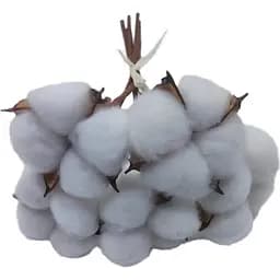 Гілка декоративна Yes! Fun Бавовна 24 см 5 шт./пучок (974816)