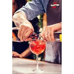 Упаковка вермуту Martini Fiero 14.9% 4.5 л (0.75 л х 6 шт.) - мініатюра 8