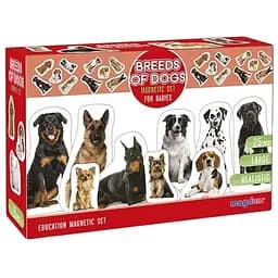 Дитячий розвиваючий набір магнітів Magdum Породи собак 24 шт. ML4031-20EN 