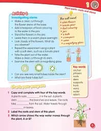 Macmillan Science. Level 3. Student's Book & eBook Pack - мініатюра 5