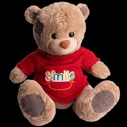 Мягкая игрушка с пледом 110х140 см Мишка Тедди в красном свитере бежевый детский плюшевый плед игрушка подушка детская ТМ COLORFUL HOME 509-35BRR