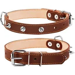 Нашийник для собак Collar подвійний з шипами (4820082496524)