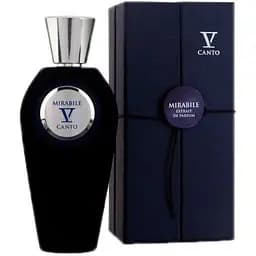 Парфюмированная вода оригинал V Canto Mirabile 100 мл