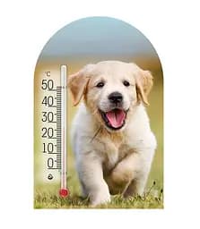 Термометр Склоприлад Сувенір Зоо Світ Ретрівер (300623)