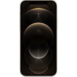 Смартфон Apple iPhone 12 Pro Max 256Gb Gold [MGDE3] [50891] - мініатюра 2