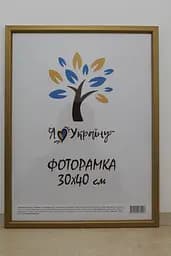 Фоторамка 30х40, золота із золотою вставкою, 1511-0491-11, СКЛО + КАРТОН                                                                                      