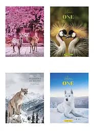 Комплект 4 шт загальних зошитів. Зошит Школярик А5 48 арк. у лінію 5072 4823088219197