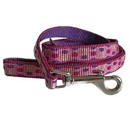 Coastal Pet Attire Weave повідок для собак 1.6см х 1.8м