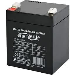 Аккумулятор EnerGenie AGM 12V (12V/5Ah/60Wh) (BAT-12V5AH) (114602)