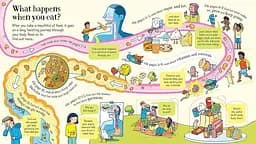 Look Inside What Happens When You Eat - Емілі Боун - мініатюра 4