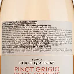 Вино Tenuta di Corte Giacobbe Pinot Grigio Ramato delle Venezie DOC, рожеве, сухе, 0,75 л - мініатюра 4