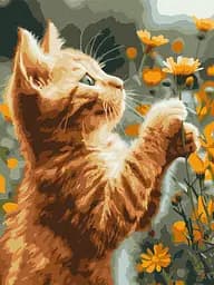 Набор для росписи по номерам Рыжий пушистик, 30x40 см, КНО6607