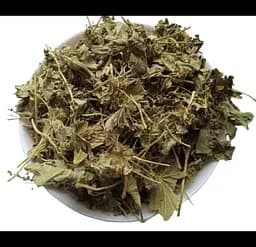 Ожина Листя Ожинник Глуха малина Rubus caesius