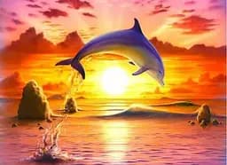 Алмазна мозаїка на підрамнику Дельфін 40×50 см 71676_BGLE