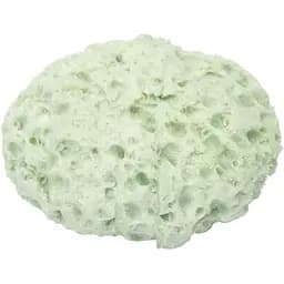 Губка для купания Suavinex с ароматом молока +0 месяцев светло-зеленая (401553-1)