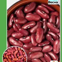 Квасоля "Рубін" (Великий пакет) ТМ "Весна" 5г (24095)