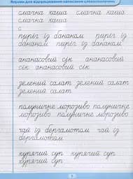 Тренажер для списування речень і текстів. Широка лінійка - мініатюра 7