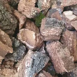 100 г береза кора сушеная - свежий урожай