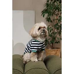Футболка Pet Fashion Breeze для собак М - мініатюра 6