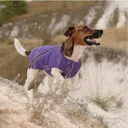 Жилет Pet Fashion E.Vest для собак, розмір L, фіолетовий - мініатюра 3