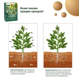 Тверде добриво тривалої дії для хвойних COMPO 2 кг - мініатюра 9