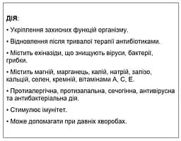 Натуральна добавка для собак Home Food, Ехінацея, 500 мл - мініатюра 2