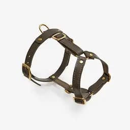 Шкіряна анатомічна шлея для собак "Classy" XL оливкова (обхват грудини 75-89 см) - мініатюра 5