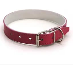 Нашийник для собак Zoo-hunt ОД Фарби шкіряний подвійний рожевий 1,8/28-36 см