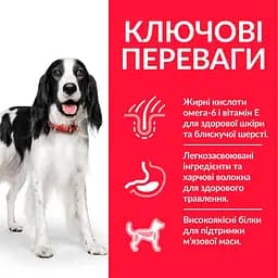 Сухий корм Hill’s SP Adult Medium Breed для дорослих собак середніх порід з куркою 14 кг - мініатюра 2