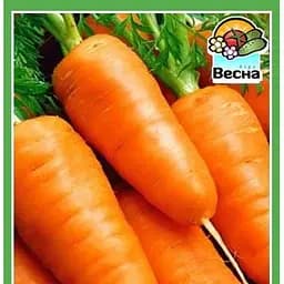 Семена Весна Морковь Каротель 2 г (10386)