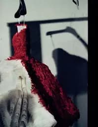 Alexander McQueen - мініатюра 2