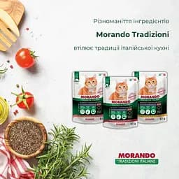 Вологий корм для стерилізованих котів Morando Tradizioni Sterilized беззерновий шматочки в желе з лососем та тунцем 85 г - мініатюра 5