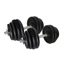 Гантели наборные литые Home 2 шт по 31,5 кг TI-968-745-31-1-2