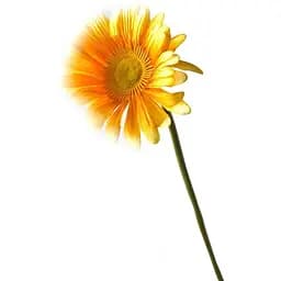 Штучна квітка гербера 54 см жовта