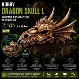 Декорація череп дракона Hobby Dragon Skull L 28,5×21,5×19,5 см для акваріума і тераріума (32076) - мініатюра 7