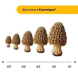Дерев'яний фігурний пазл Сморж, А5, Картонна коробка 35 елементів - мініатюра 2