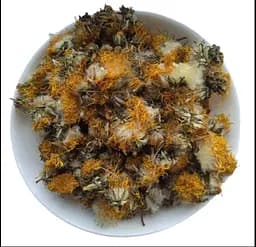 Кульбаба Квіти Бабка Пустодуй Маївка Taraxacum officinale
