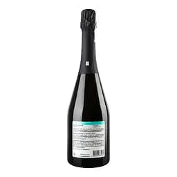 Вино ігристе Leleka Wines Semi-Dry біле напівсухе 0.75 л - мініатюра 2