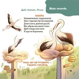 Віршенята-загадки для малят. 3–5 років - мініатюра 8