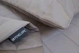 Покривало стьобане з наволочками Penelope - Lia stone бежевий 300x280+50x70 (2) - мініатюра 4