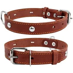 Ошейник для собак Collar одинарный с украшением (2001356000001)