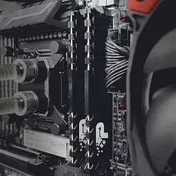Модуль памяті DDR4 2x16GB/3200 Patriot Signature Line Premium (PSP432G3200KH1) - мініатюра 4