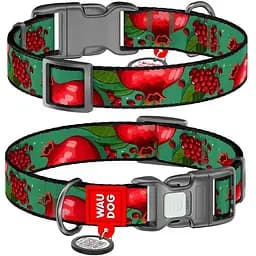 Нашийник для собак нейлоновий Waudog Nylon з QR паспортом градієнтГранати L 2.5х33-49 см
