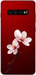 Чохол Demsky Sakura red для Samsung Galaxy S10+