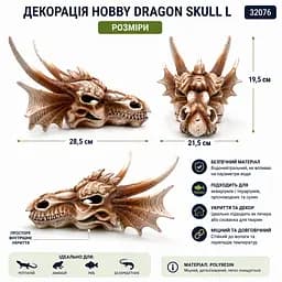 Декорація череп дракона Hobby Dragon Skull L 28,5×21,5×19,5 см для акваріума і тераріума (32076) - мініатюра 5