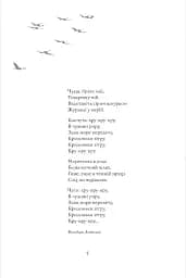 Журавлі відлетілі. Есеї про Квітку Цісик та її рід - мініатюра 4