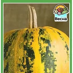 Семена Весна Тыква Голосеменная 2 г (10402)