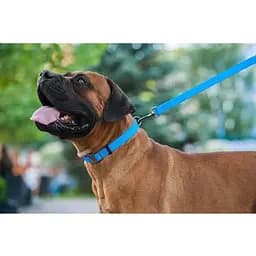 Повідець для собак Waudog Waterproof водостійкий L-XXL, блакитний - мініатюра 7